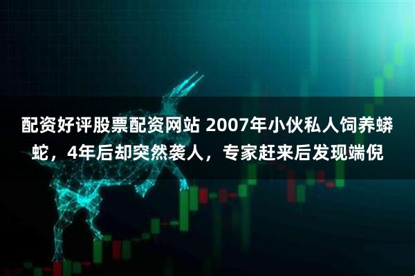 配资好评股票配资网站 2007年小伙私人饲养蟒蛇，4年后却突然袭人，专家赶来后发现端倪