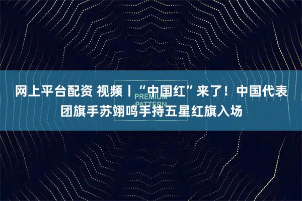 网上平台配资 视频丨“中国红”来了！中国代表团旗手苏翊鸣手持五星红旗入场